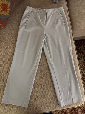 Light blueish gray Tailored Straight-Leg ankle Pants